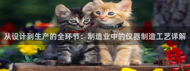 天宏娱乐直播在线观看