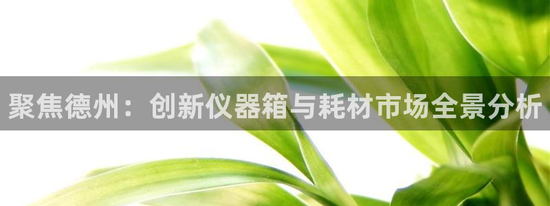 天宏娱乐丁叔：聚焦德州：创新仪器箱与耗材市场全景分析