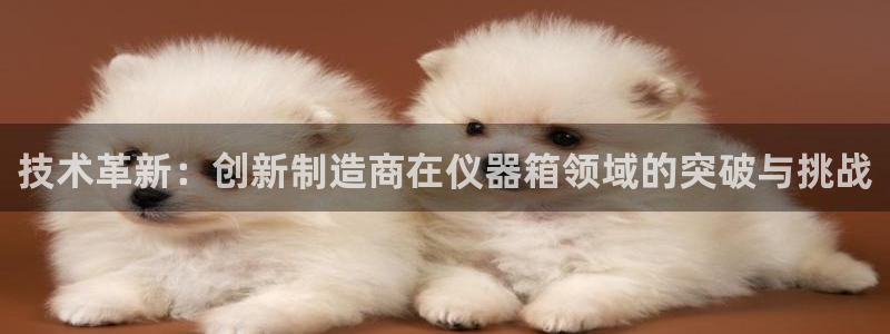 天宏娱乐直播团：技术革新：创新制造商在仪器箱领域的突破与挑战