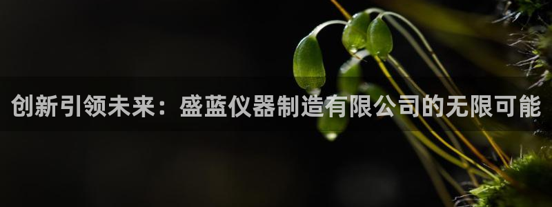 天宏娱乐林叔：创新引领未来：盛蓝仪器制造有限公司的无限可能