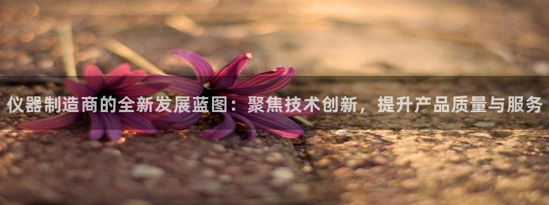 天宏娱乐平台登陆：仪器制造商的全新发展蓝图：聚焦技术创新，提