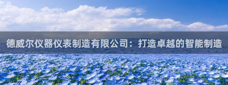 天宏娱乐老男孩文叔：德威尔仪器仪表制造有限公司：打造卓越的智