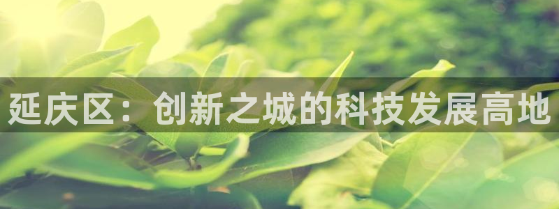 天宏娱乐大叔团唱歌：延庆区：创新之城的科技发展高地