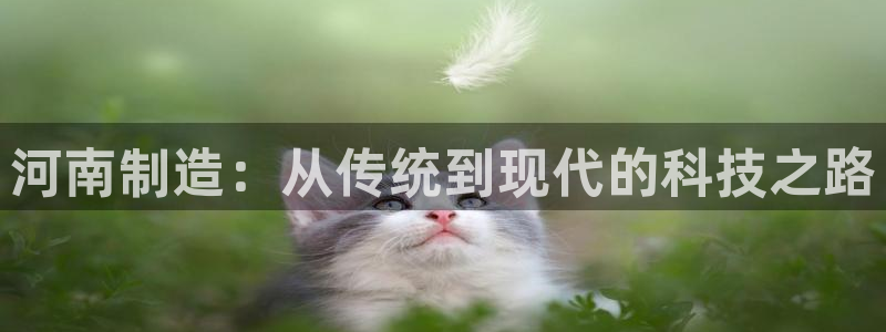 天宏娱乐小刘：河南制造：从传统到现代的科技之路