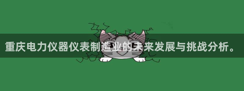 天宏娱乐平台官网：重庆电力仪器仪表制造业的未来发展与挑战分析