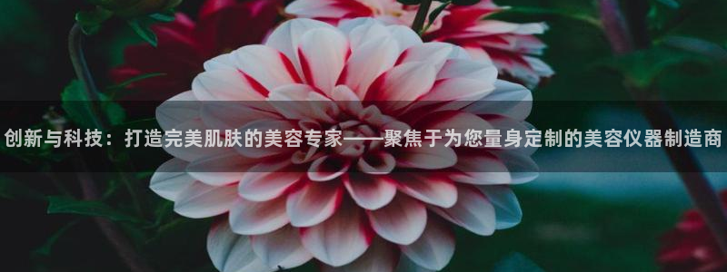 天宏娱乐招商主管：创新与科技：打造完美肌肤的美容专家——聚焦