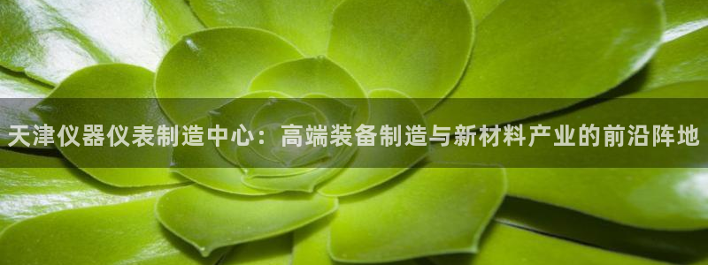天宏娱乐何33300：天津仪器仪表制造中心：高端装备制造与新